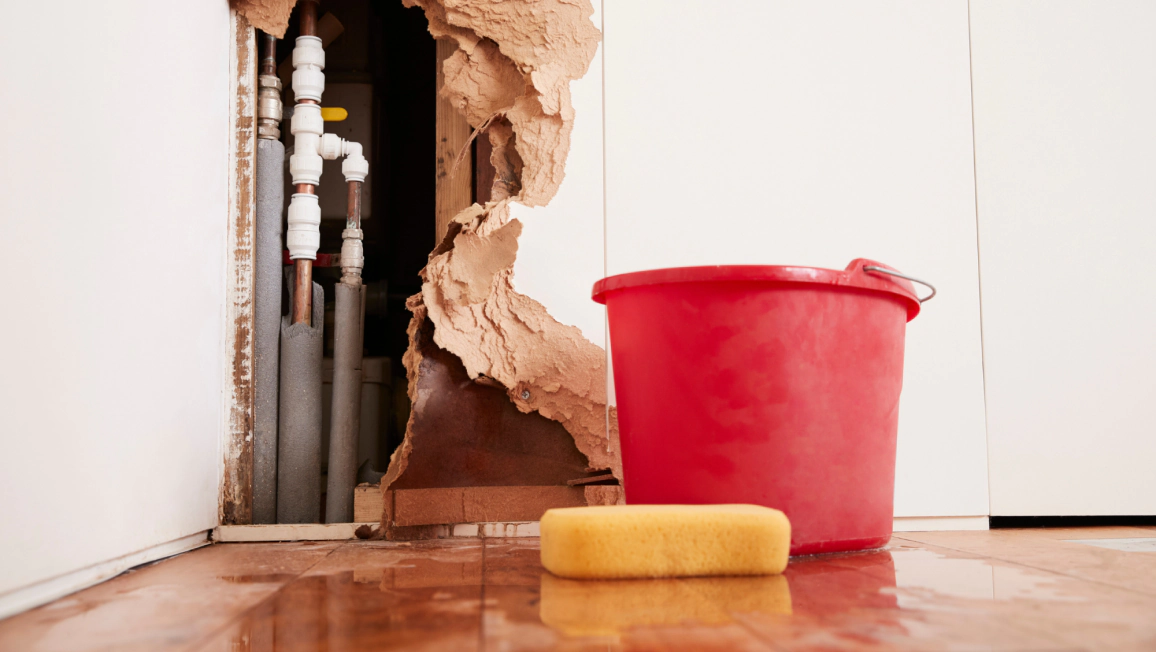 Water Damage Repair Service (1) Water Damage Repair Service (1)