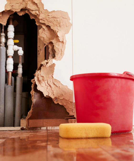 Water Damage Repair Service